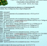 Изображение WhatsApp 2024-12-28 в 10.01.12_c08adb87 - Детская городская больница