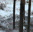 les210125 - K-Ur.Info